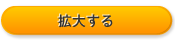 拡大するボタン